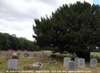 Savernake - photo: 01071