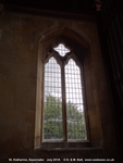 Savernake - photo: 01312