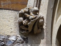 Savernake - photo: 01403