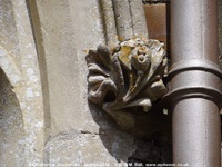 Savernake - photo: 01404