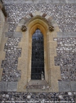 Savernake - photo: 01410