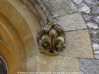 Savernake - photo: 01412