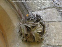 Savernake - photo: 01415