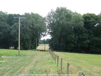 Savernake - photo: 01416