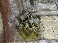 Savernake - photo: 01419