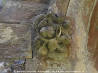 Savernake - photo: 01426