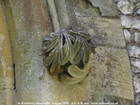 Savernake - photo: 01427