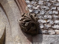 Savernake - photo: 01431