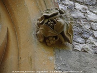 Savernake - photo: 01436