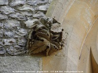 Savernake - photo: 01437