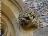 Savernake - photo: 01440