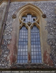 Savernake - photo: 01441