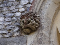 Savernake - photo: 01442