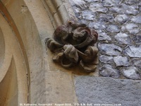 Savernake - photo: 01443
