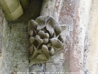 Savernake - photo: 01445