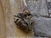 Savernake - photo: 01446