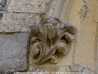 Savernake - photo: 01453