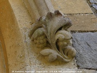 Savernake - photo: 01454