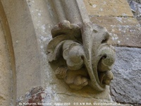 Savernake - photo: 01457