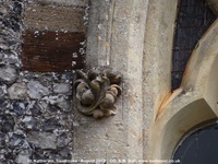Savernake - photo: 01461
