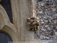 Savernake - photo: 01462