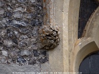Savernake - photo: 01463