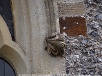 Savernake - photo: 01464