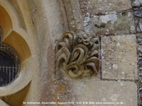 Savernake - photo: 01472