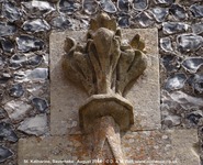 Savernake - photo: 01474