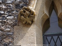 Savernake - photo: 01475