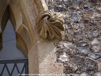 Savernake - photo: 01476