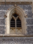 Savernake - photo: 01477