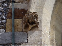 Savernake - photo: 01478