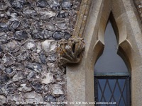 Savernake - photo: 01483