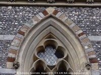 Savernake - photo: 01486