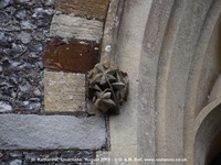 Savernake - photo: 01487