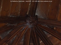 Savernake - photo: 01683