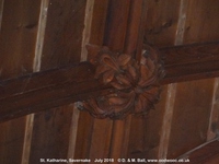Savernake - photo: 01685