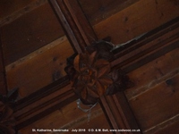 Savernake - photo: 01686