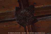 Savernake - photo: 01694