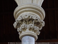 Savernake - photo: 01792