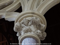 Savernake - photo: 01793