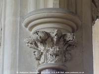 Savernake - photo: 01795