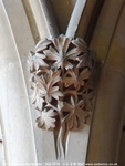 Savernake - photo: 01797