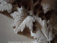 Savernake - photo: 01799