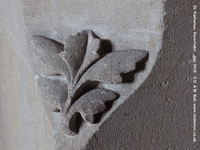 Savernake - photo: 01820