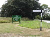 Savernake - photo: 01906