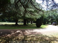 Savernake - photo: 01923