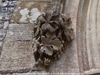 Savernake - photo: 01934