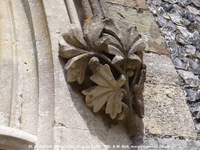 Savernake - photo: 01935